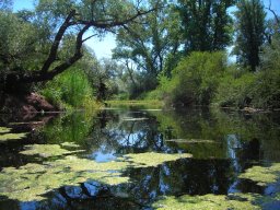 image05